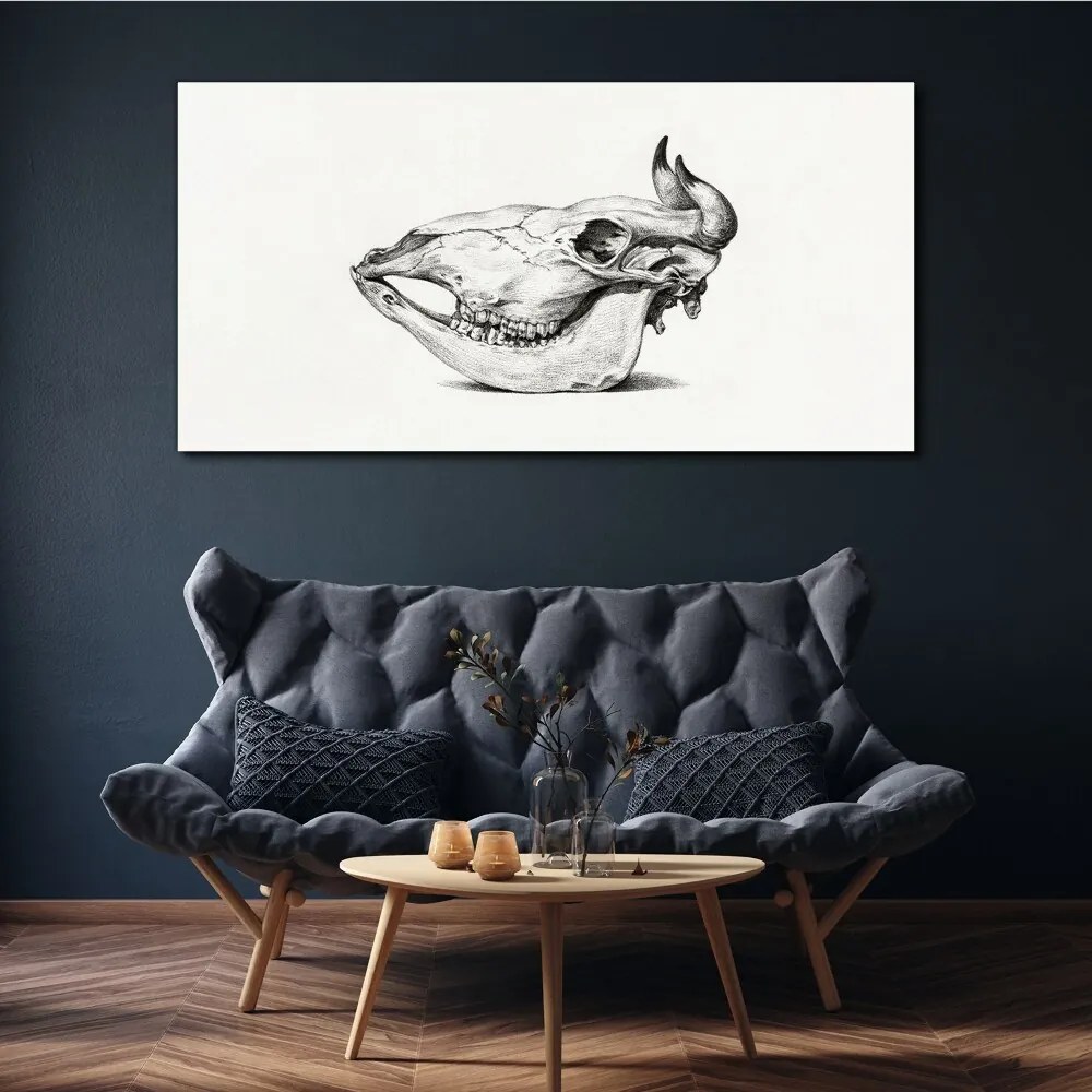Tablou canvas Desen craniu de vacă