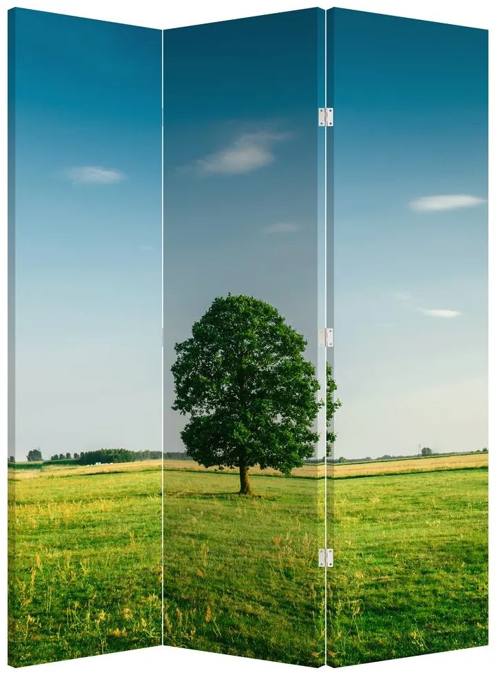 Paravan - Copaci pe luncă (126x170 cm)