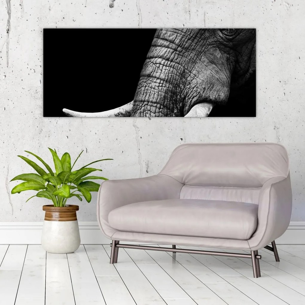 Tablou - Colți de elefant (120x50 cm)