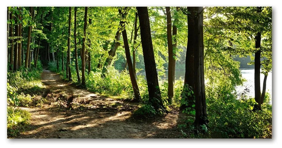 Tablou sticlă acrilică Calea în lunca