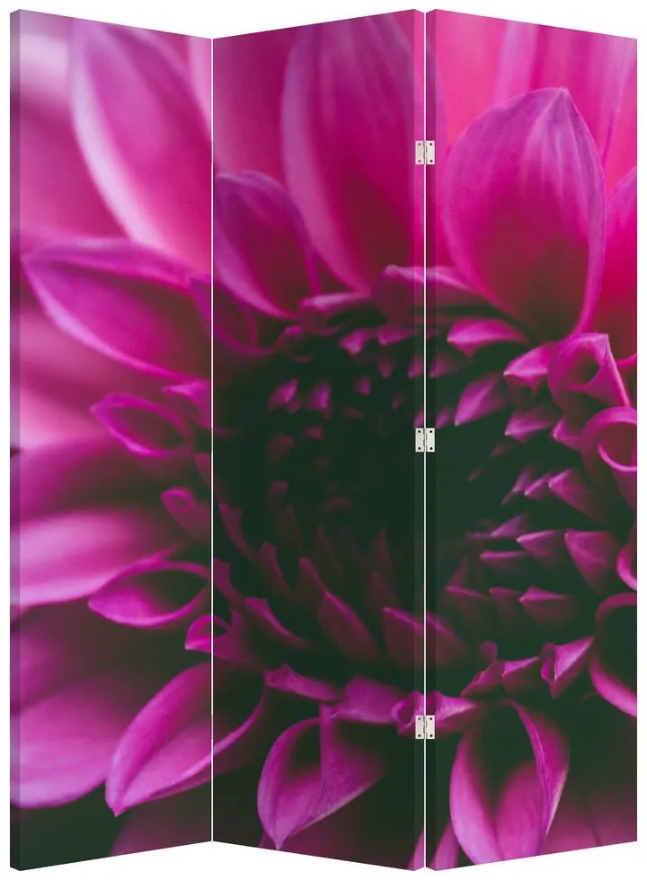 Paravan - floarea roz (126x170 cm)