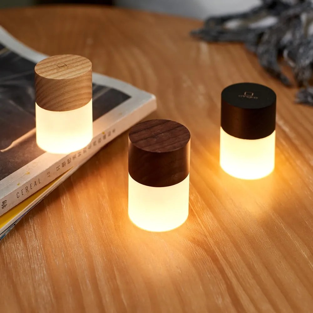 Decorațiune luminoasă neagră cu USB ø 4,5 cm Lemelia – Gingko