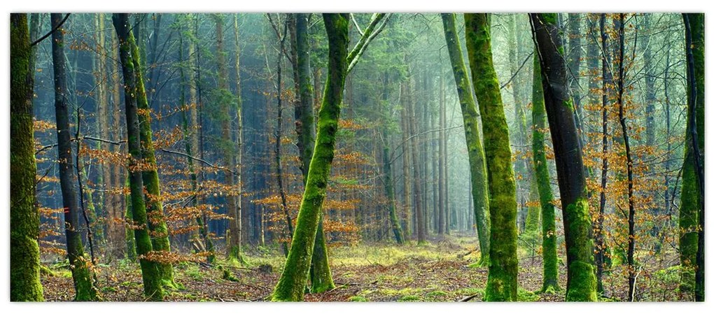 Tablou cu pădure (120x50 cm)