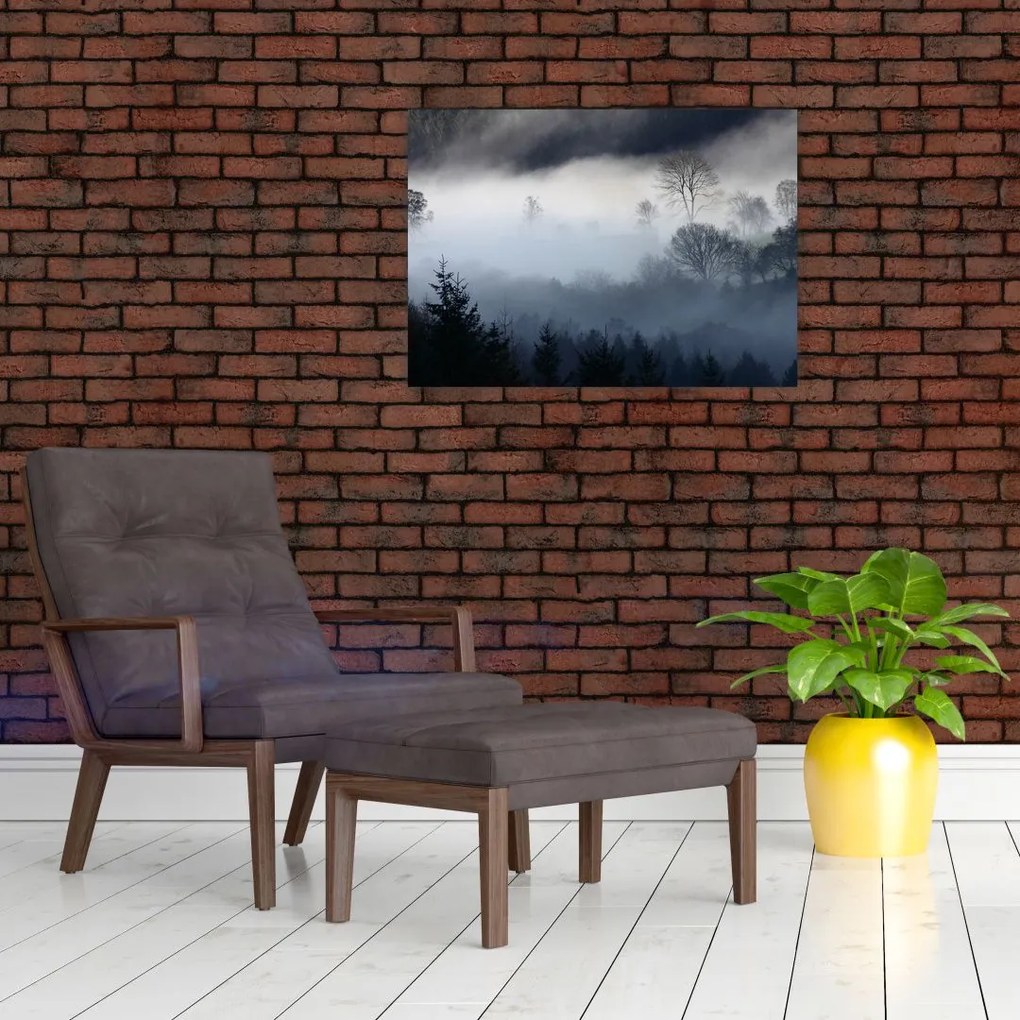 Tablou pe sticlă cu ceță deasupra pădurii (70x50 cm)