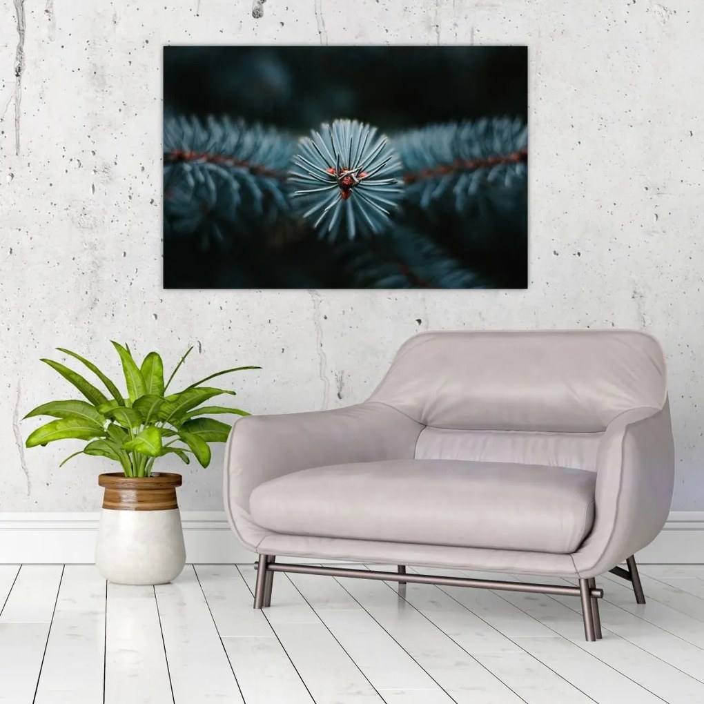 Tablou -Crenguțe ale unui conifer (90x60 cm)