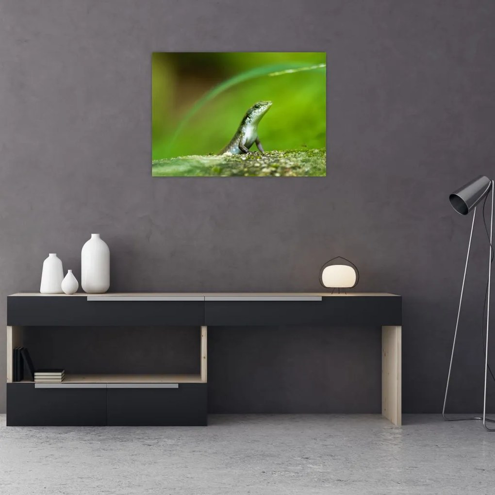 Tablou cu șopârlă (70x50 cm)