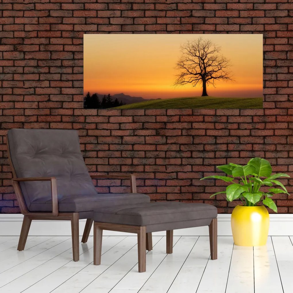 Tablou cu apus de soare pe o luncă (120x50 cm)
