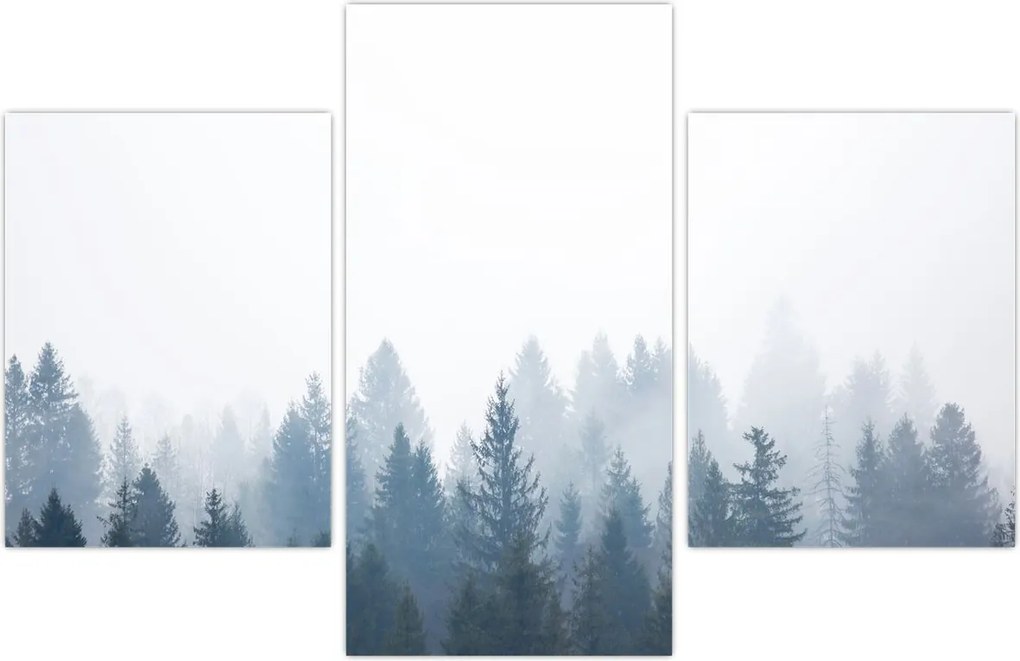 Tablou - Pădure cețoasă (90x60 cm)