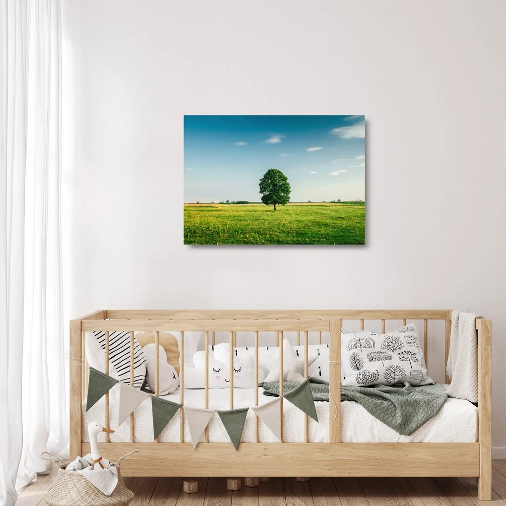 Tablou pe sticlă cu copaci pe luncă (70x50 cm)
