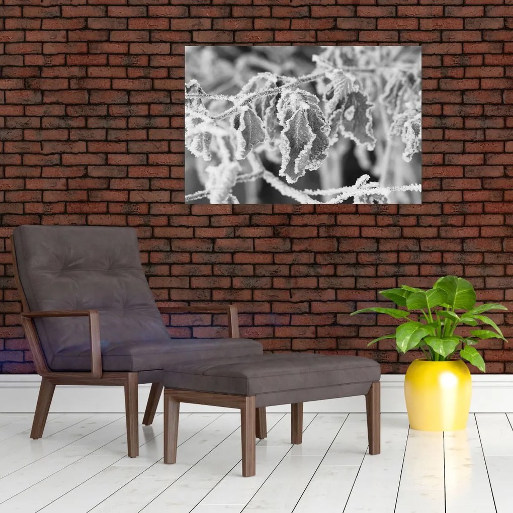 Tablou - Frunze înghețate,alb-negru (90x60 cm)