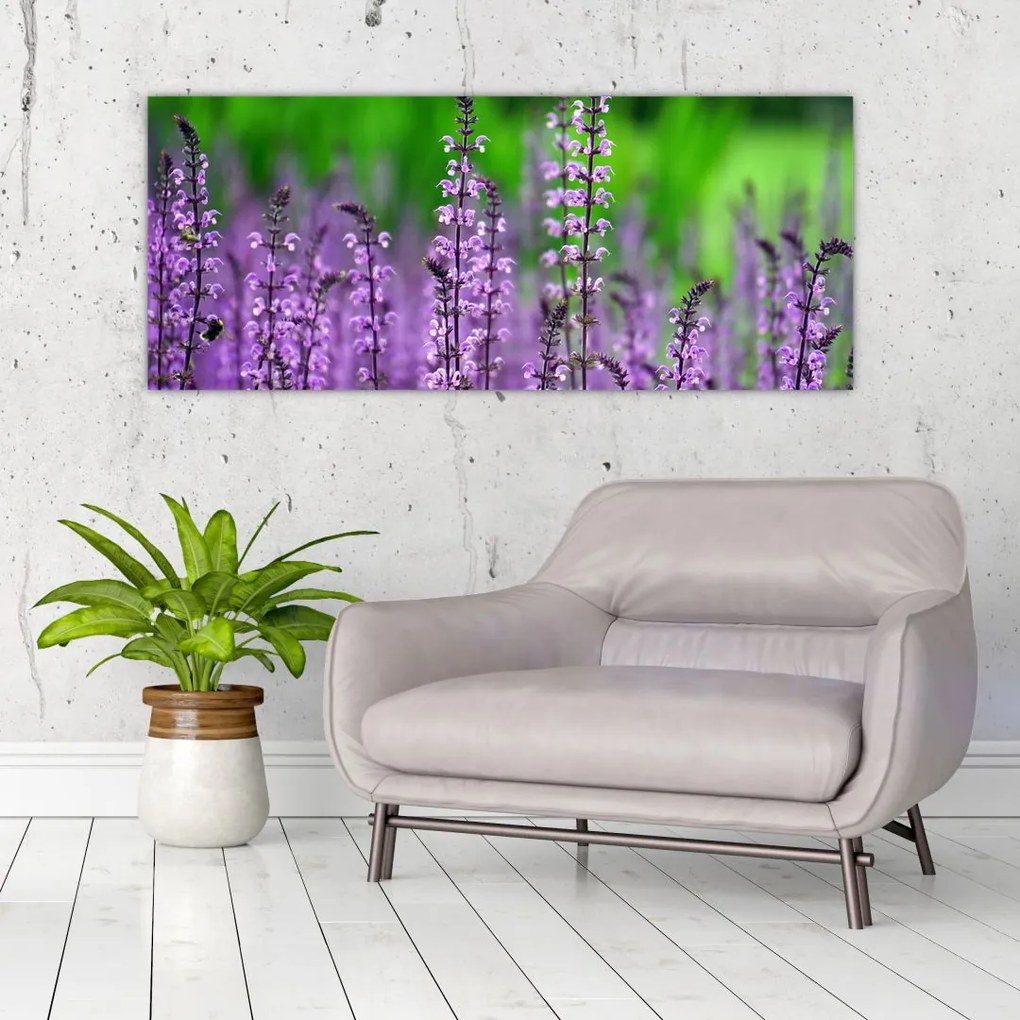 Tablou cu flori de luncă violete (120x50 cm)