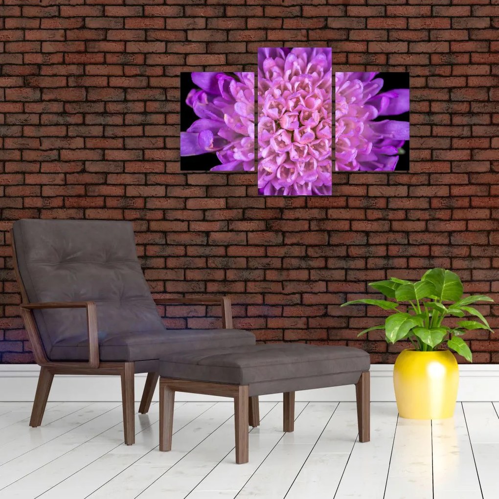 Tablou detailat cu floare (90x60 cm)