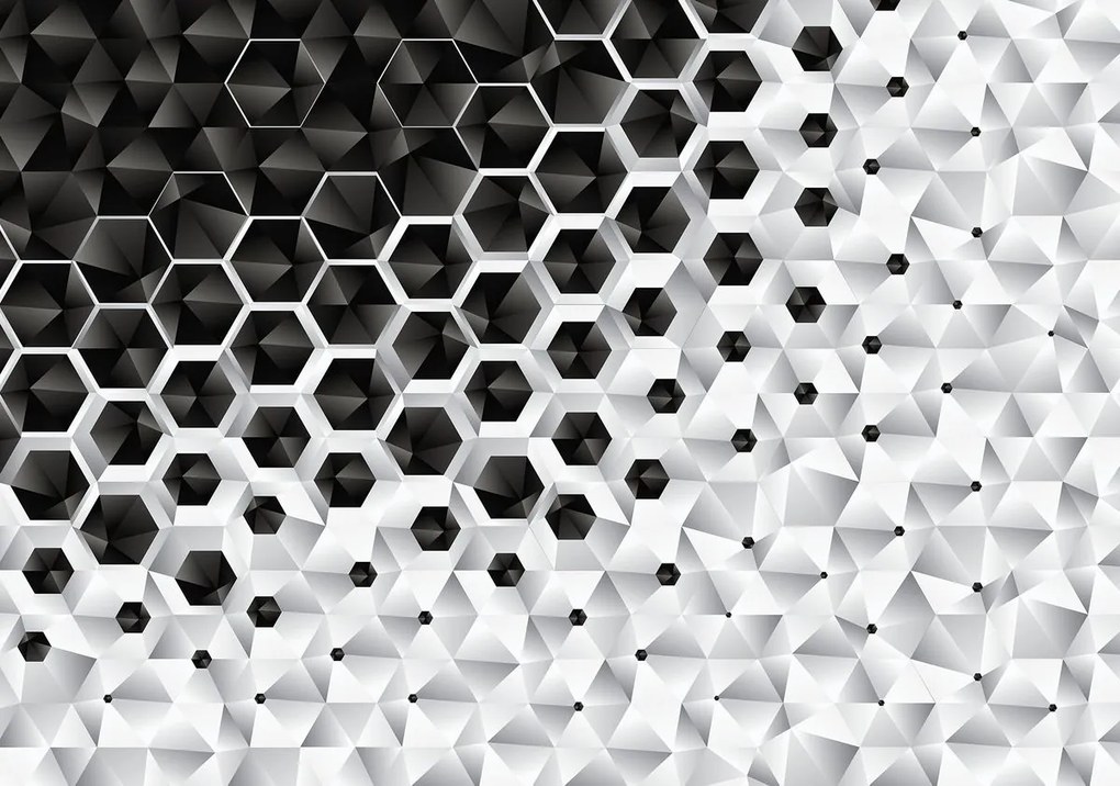 Fototapet - 3D hexagon (152,5x104 cm)