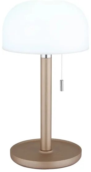 Lampă LED de masă Globo 21016CH NORMAN LED/1,5W/3,7V 3000/4200/6000K maro