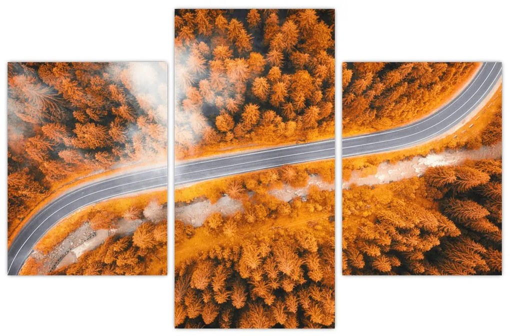Tablou - Strada montană (90x60 cm)