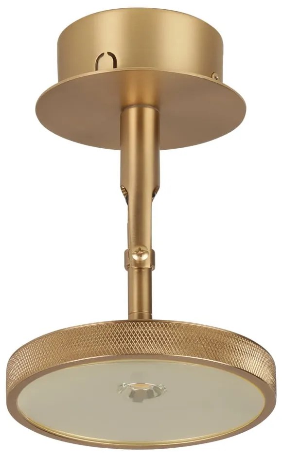 Spot auriu LED ø 12 cm Asteria Spot – UMAGE