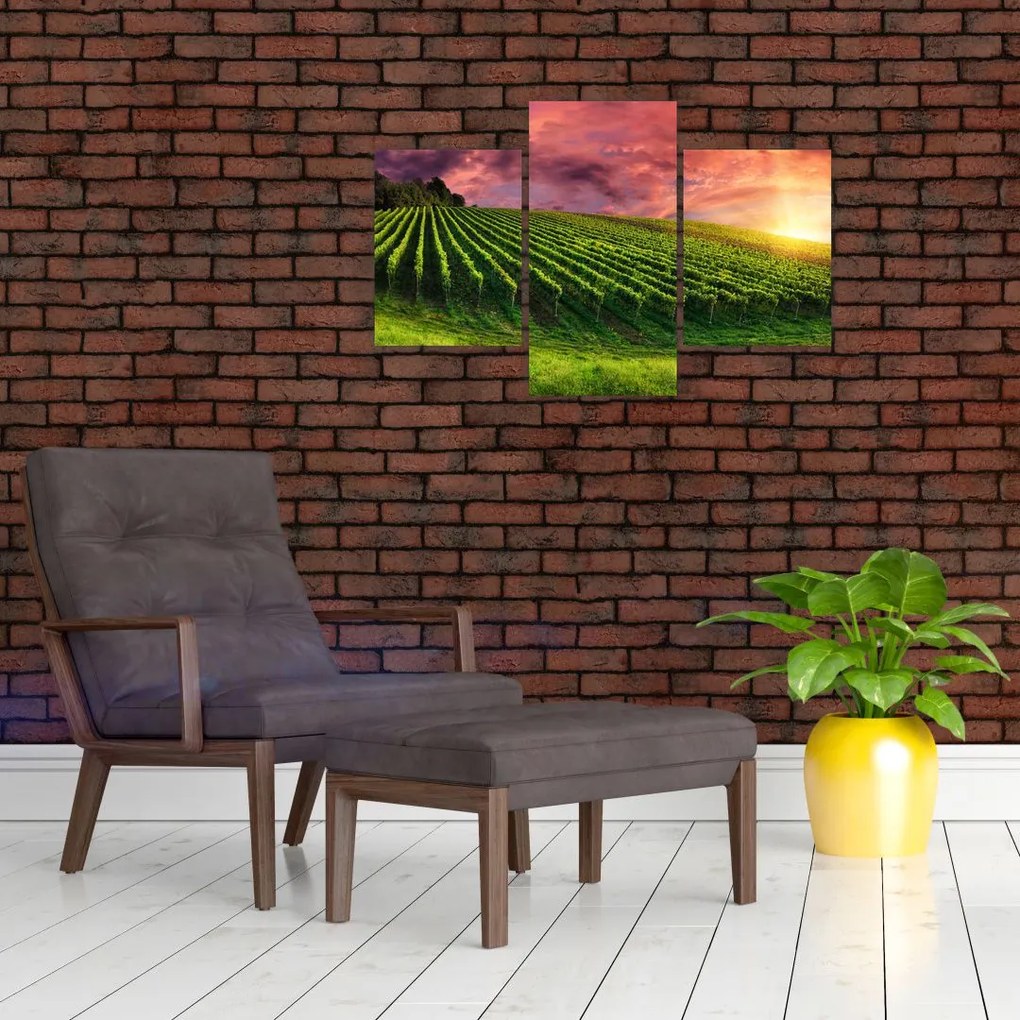 Tablou cu vie cu cerul color (90x60 cm)