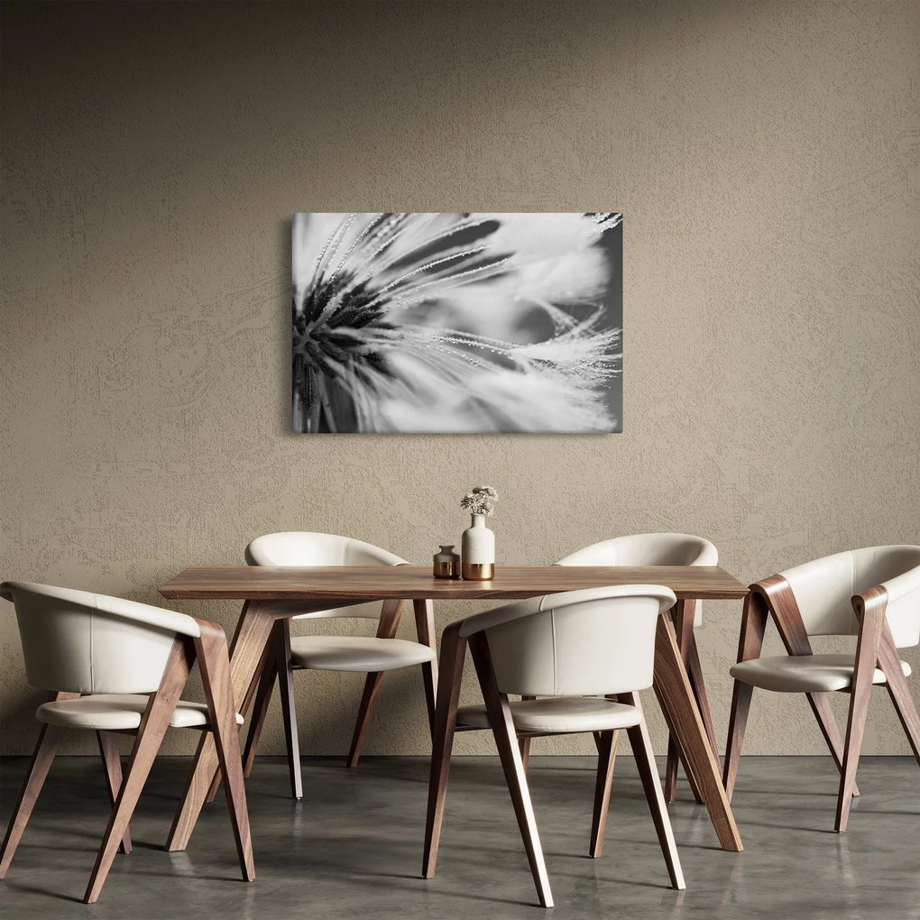 Tablou - Macro,alb-negru (90x60 cm)