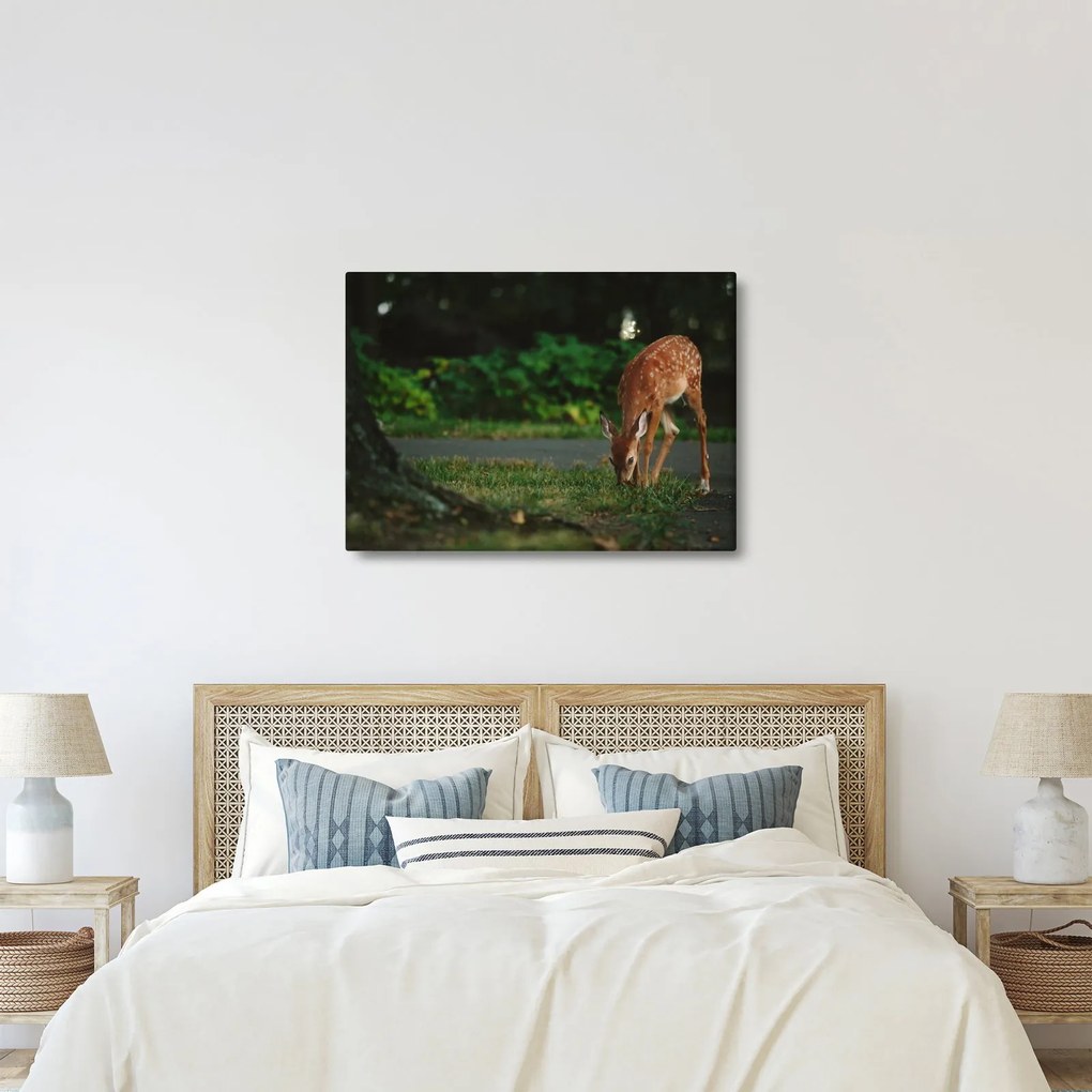 Tablou cu pui de cerb (70x50 cm)