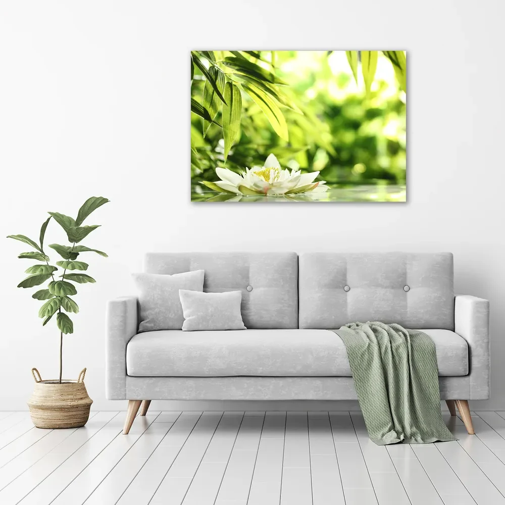 Tablou pe pânză canvas Nufăr