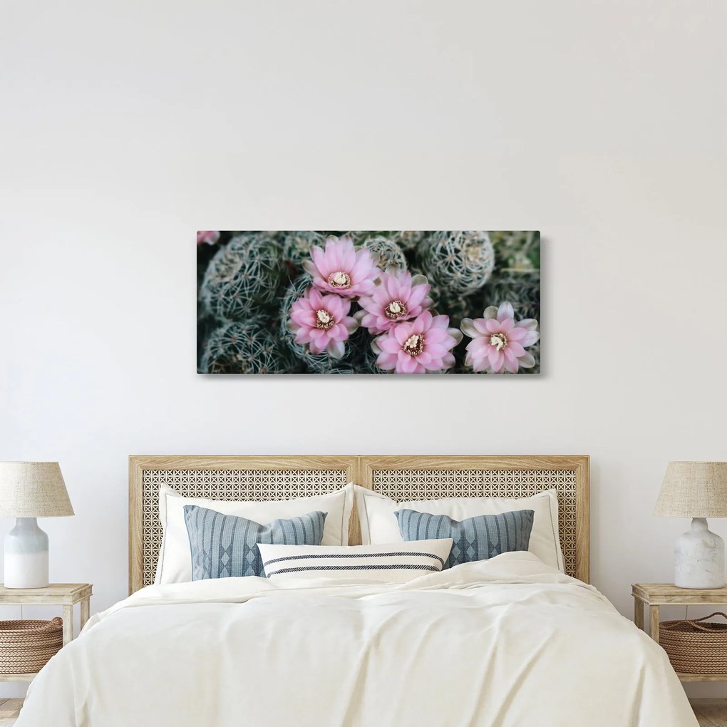 Tablou floare de cactus (120x50 cm)