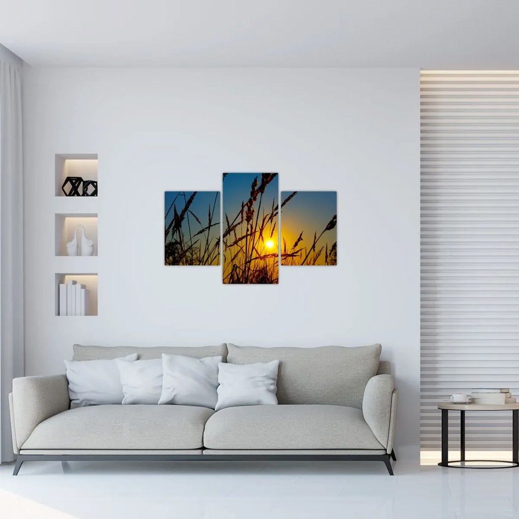 Tablou - Apus de soare pe pajiște (90x60 cm)