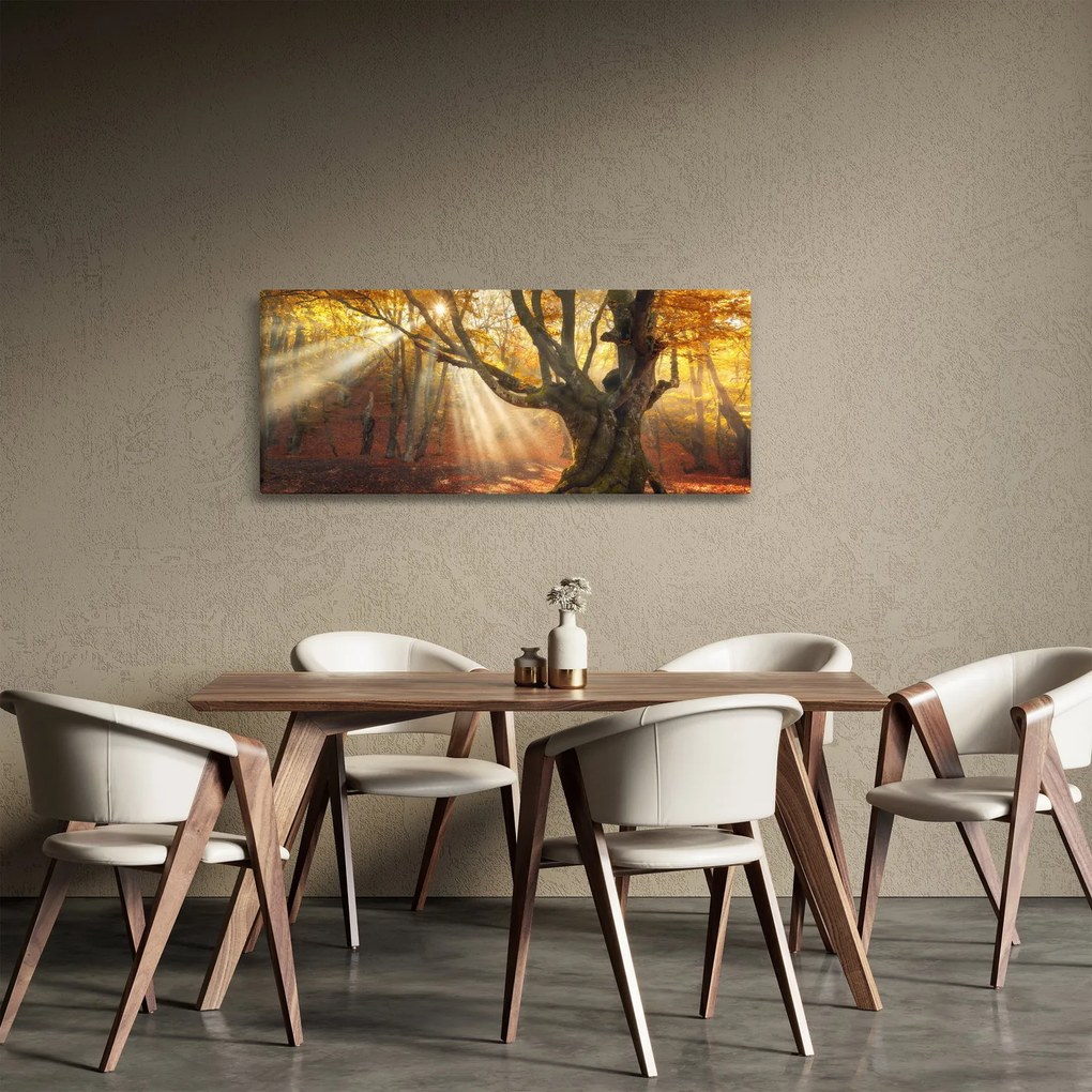 Tablou - Lumina de toamnă (120x50 cm)
