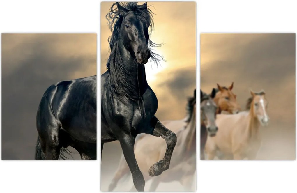 Tablou - Cai (90x60 cm)