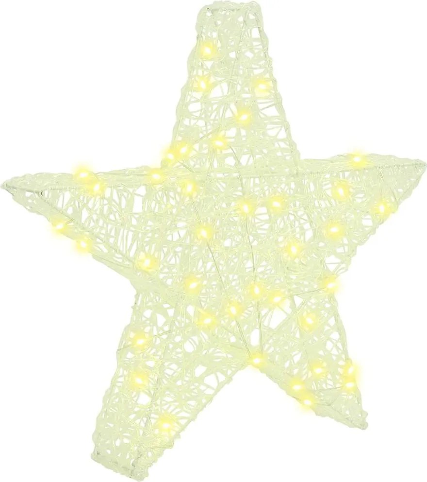 vidaXL Stea 3D cu 50 LED Alb cald 55 x 53.5 x 10 cm Acril