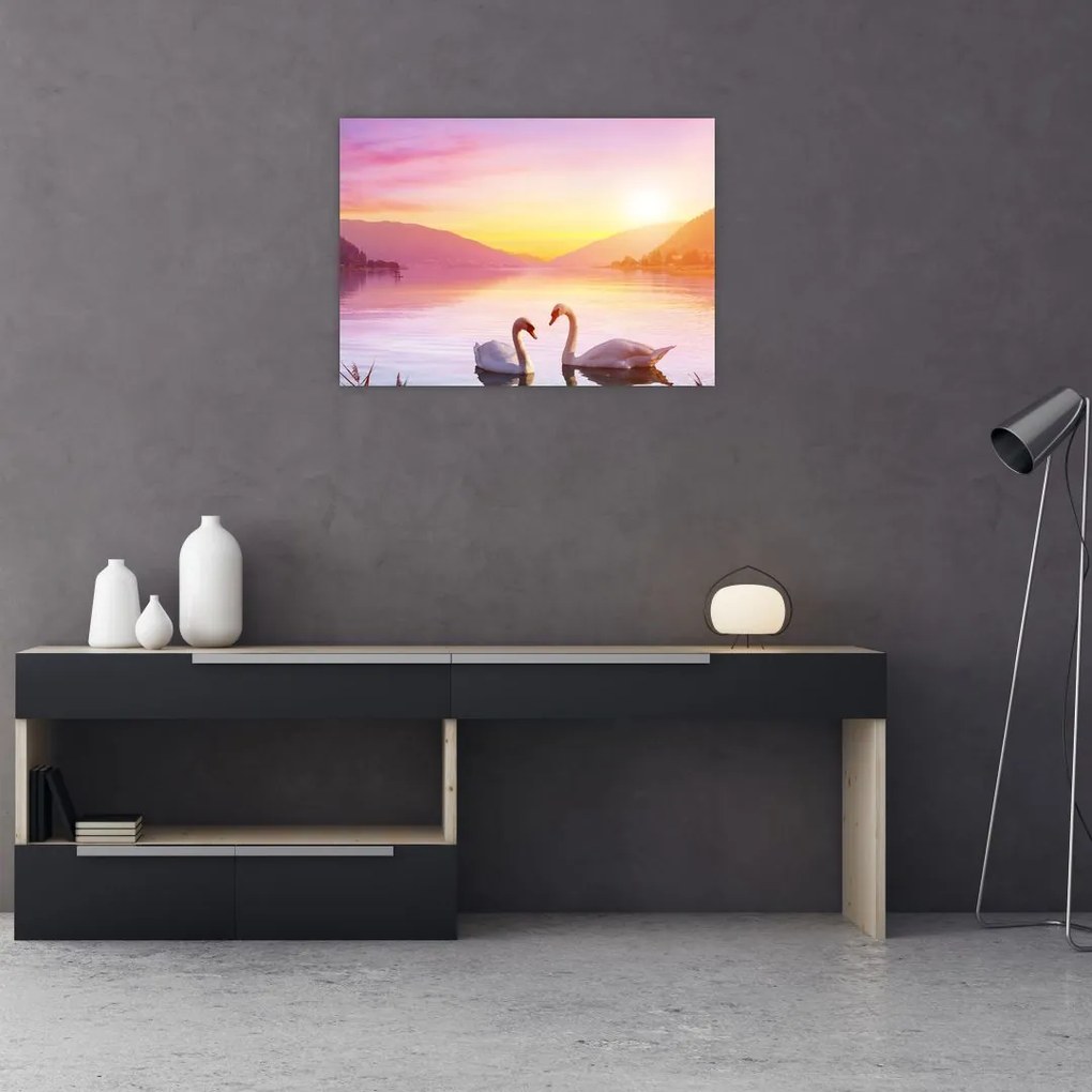 Tablou pe sticlă - Lebăde îndrăgostite (70x50 cm)