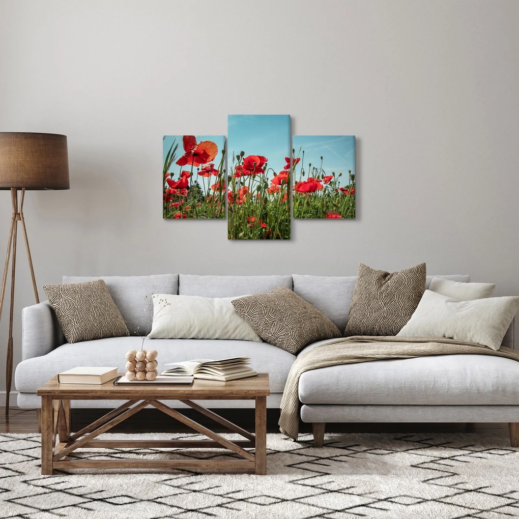 Tablou - Pe câmpul cu maci (90x60 cm)