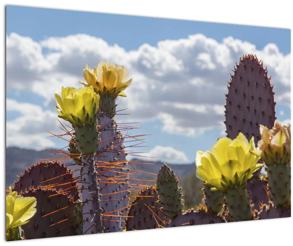 Tablou cu floarea de cactus Opunție (90x60 cm)