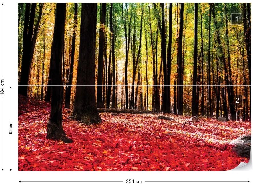 Fototapet GLIX - Red Autumn Forest + adeziv GRATUIT Tapet nețesute - 254x184 cm