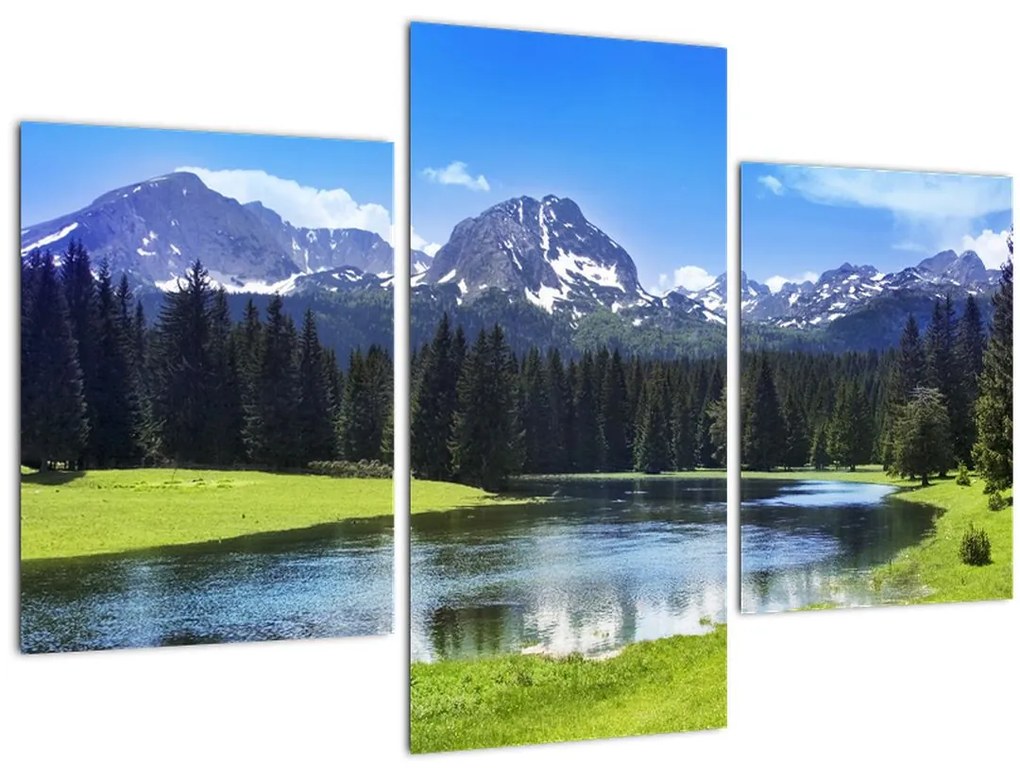 Tablou - vâfurile montane înzăpezite (90x60 cm)