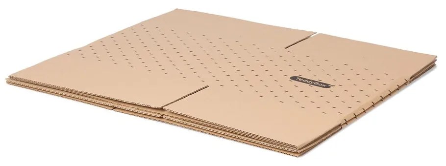 Set de 2 cutii de depozitare bej Compactor Teddy, 42 x 30 cm