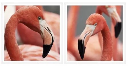 Tablou 2 piese Framed Art Flamingo Heads