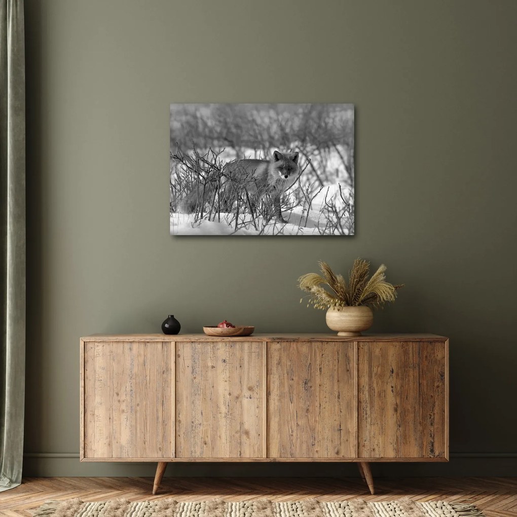 Tablou - Vulpe în timpul iernii (70x50 cm)