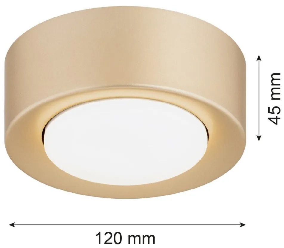 Spot tavan, Mini plafoniera ELORA 8903 auriu