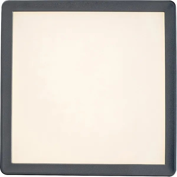 Rabalux 3359 - Plafonieră LED LAMBERT pentru baie LED/15W/230V IP44