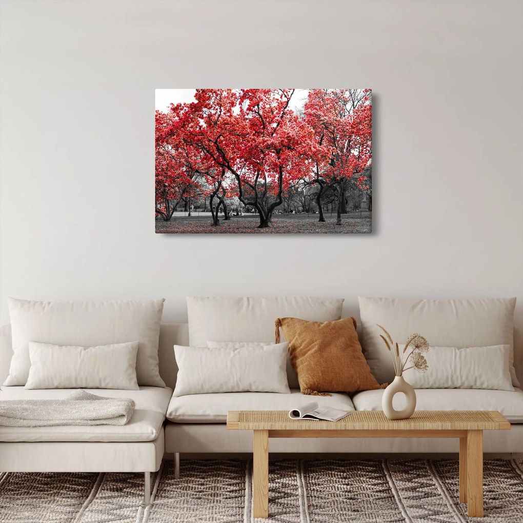 Tablou - Copacii roșii, Central Park, New York (90x60 cm)