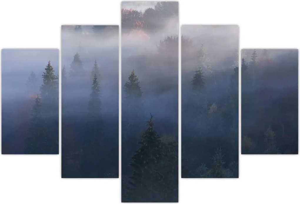 Tablou - Pădure în ceță, Carpați, Ucraina (150x105 cm)