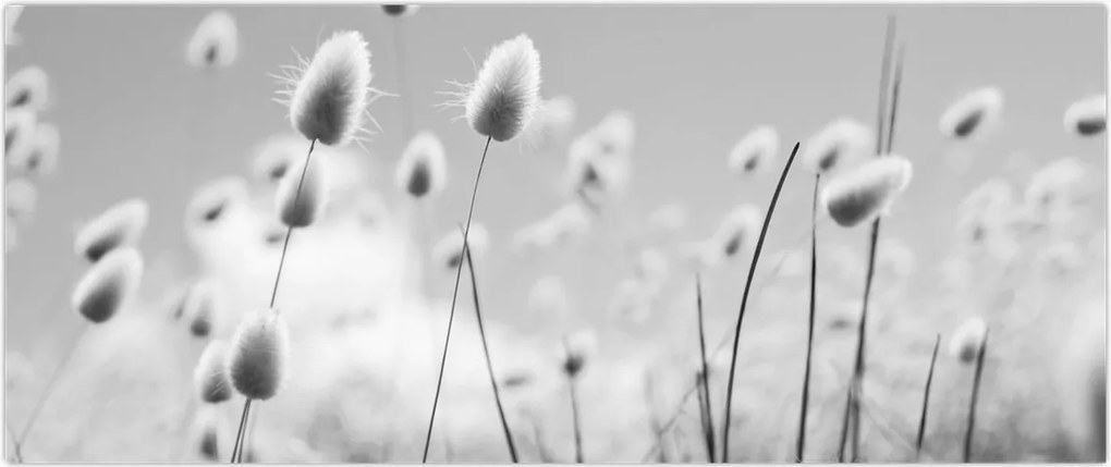 Tablou - Boho iepuraș coadă de iarbă (120x50 cm)