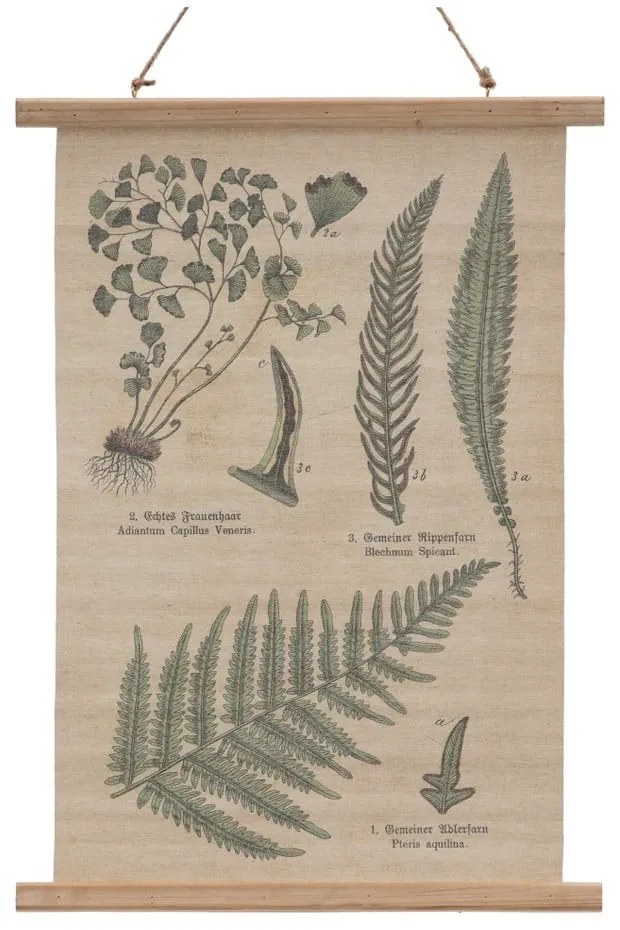 Tapiserie 50x70 cm Fern – Ixia