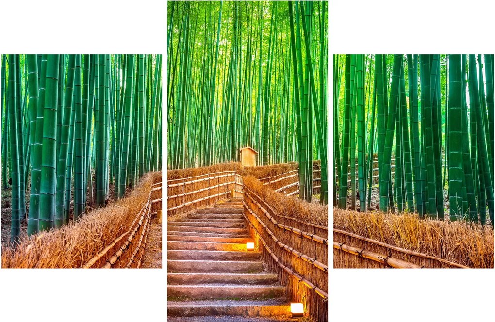 Tablou - Pădure de bambus japoneză (90x60 cm)