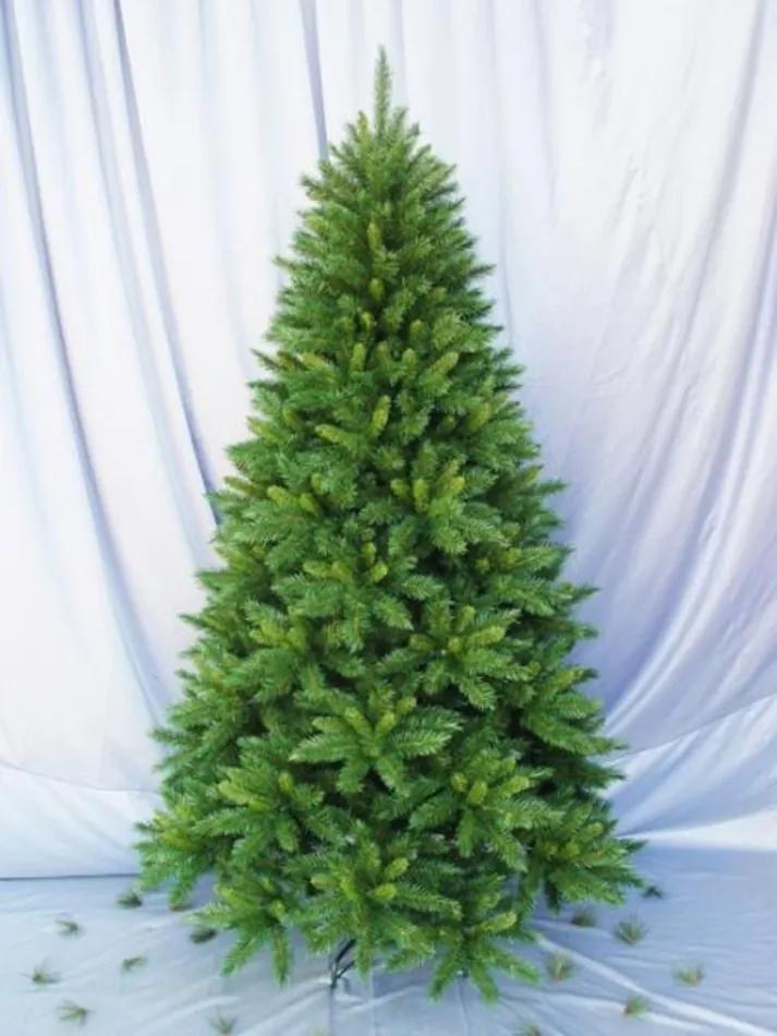 Brad de Crăciun 'Princess Pine', 210 cm