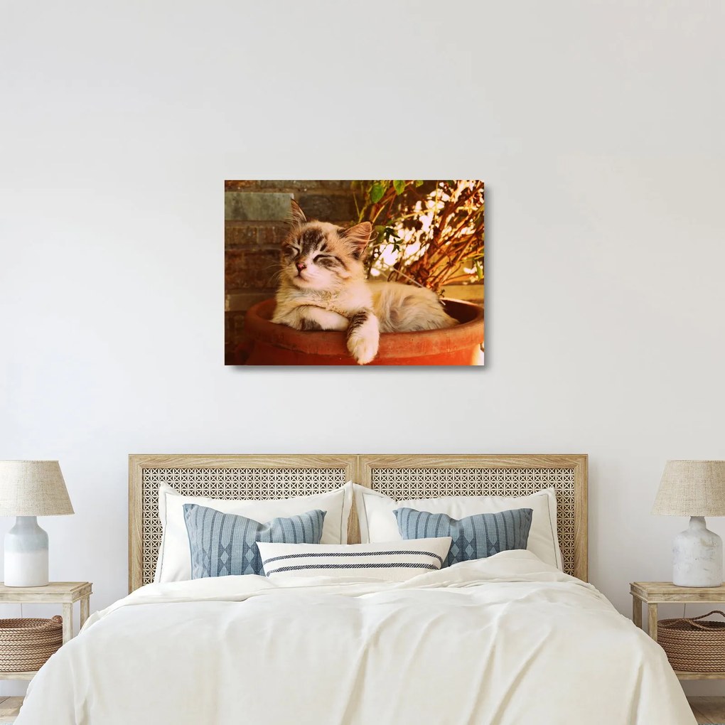Tablou pe sticlă cu pisica în ghiveci (70x50 cm)
