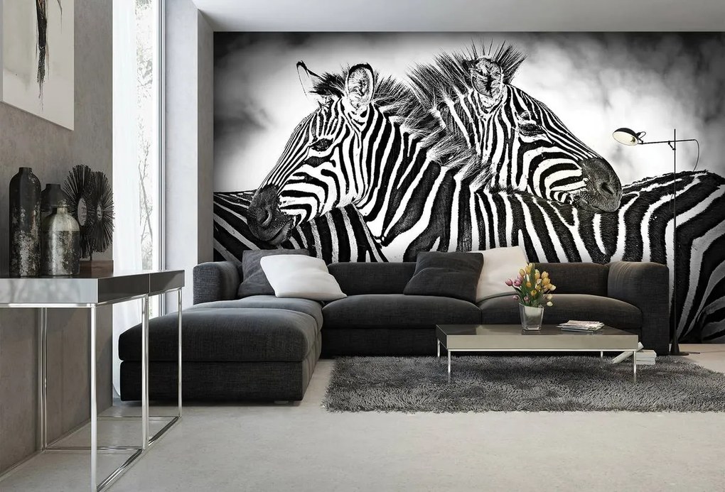Fototapet - Zebra (254x184 cm)
