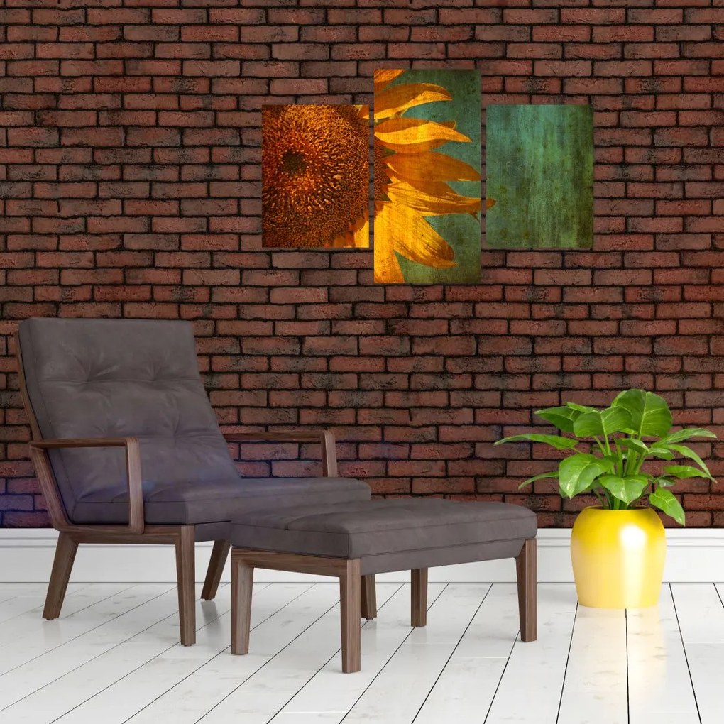 Tablou - Floarea soarelui (90x60 cm)