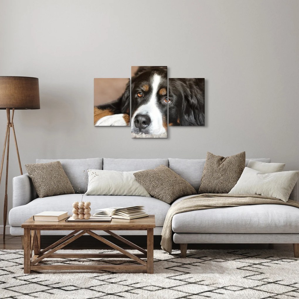 Tablou cu câine (90x60 cm)