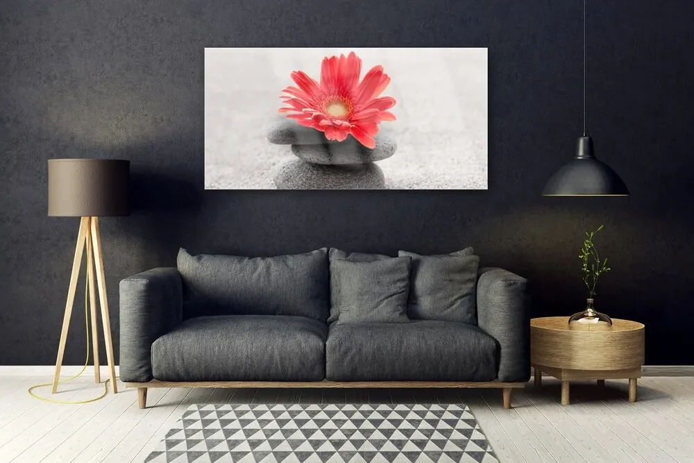 Tablou pe sticla Pietrele de flori Arta Orange Gray